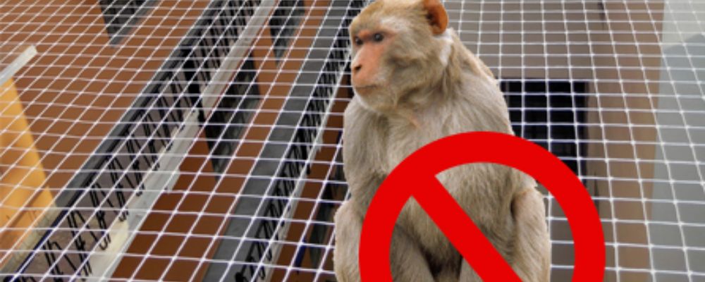 Monkey Safety Nets for Balconies